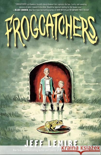 Frogcatchers Jeff Lemire 9781982107383