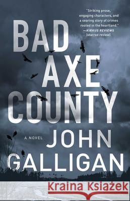 Bad Axe County: A Novelvolume 1 Galligan, John 9781982110710