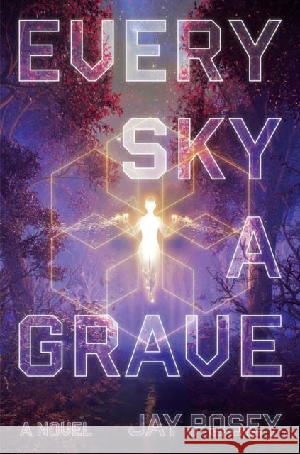 Every Sky a Grave: A Novel Jay Posey 9781982126681 Skybound Books