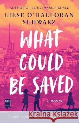 What Could Be Saved Liese O'Halloran Schwarz 9781982150624