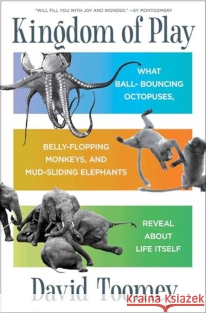 Kingdom of Play: What Ball-bouncing Octopuses, Belly-flopping Monkeys, and Mud-sliding Elephants Reveal about Life Itself David Toomey 9781982154462 Scribner Book Company