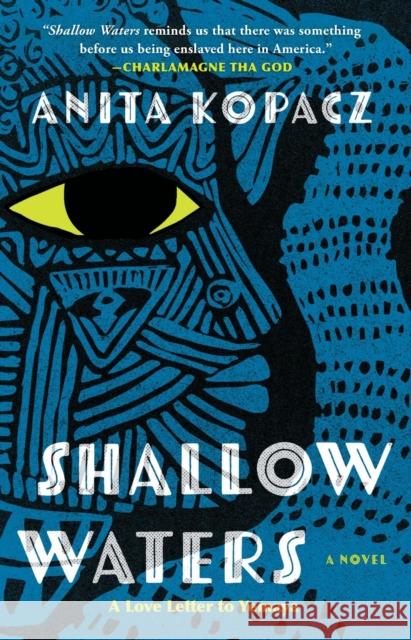 Shallow Waters: A Novel Anita Kopacz 9781982177614