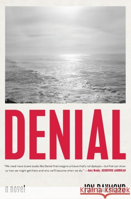 Denial: A Novel Jon Raymond 9781982181840