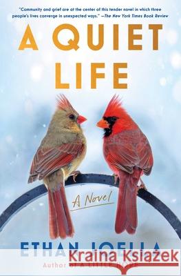 Quiet Life: A Novel Ethan Joella 9781982190989