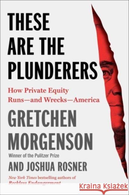 These Are the Plunderers: How Private Equity Runs—and Wrecks—America  9781982191283 Simon & Schuster