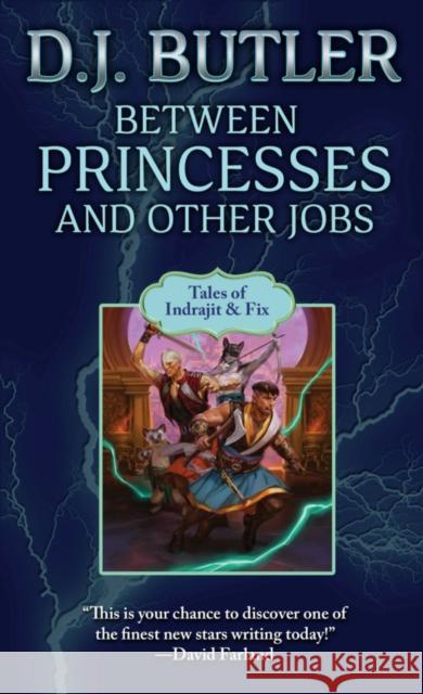 Between Princesses and Other Jobs  9781982193577 Baen Books