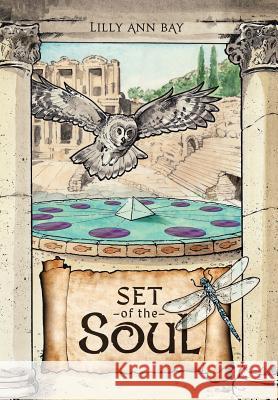 The Set of the Soul: An Allegory for the New Age Lilly Ann Bay 9781982215941 Balboa Press