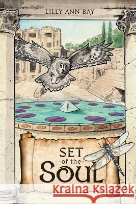 The Set of the Soul: An Allegory for the New Age Lilly Ann Bay 9781982215965 Balboa Press