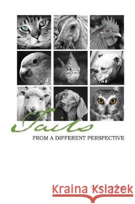 Tails from a Different Perspective Cindy Downing 9781982233013