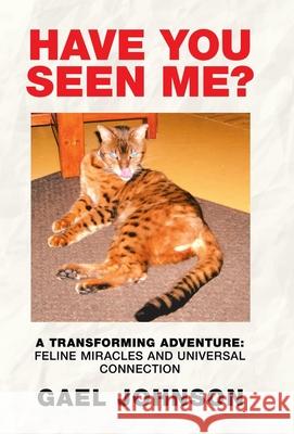 Have You Seen Me?: A Transforming Adventure: Feline Miracles and Universal Connection Gael Johnson 9781982233143 Balboa Press