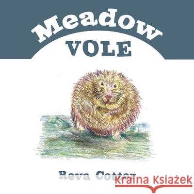 Meadow Vole Reva Cotter 9781982236823