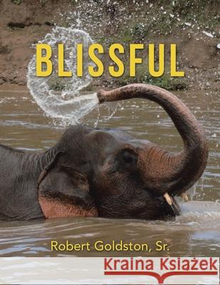 Blissful Robert Goldston, Sr 9781982242725 Balboa Press