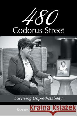 480 Codorus Street: Surviving Unpredictability Sandra L. Kearse-Stockton 9781982255572