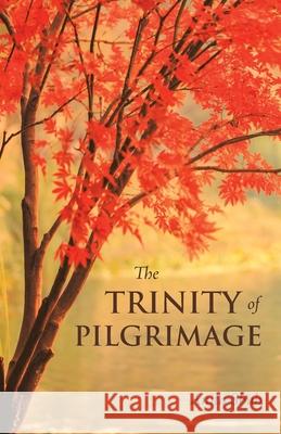 The Trinity of Pilgrimage Anita Shah 9781982280833 Balboa Press UK