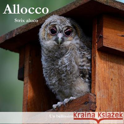Allocco: Strix Aluco Francesco Lanzanova Giampietro Lanzanova 9781983175336 Independently Published