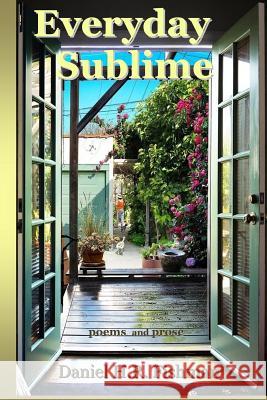 Everyday Sublime Daniel H. R. Fishman 9781983407376
