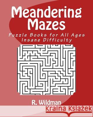 Meandering Mazes: Puzzle Books for All Ages - Insane Difficulty R. Wildman 9781983469299 Createspace Independent Publishing Platform