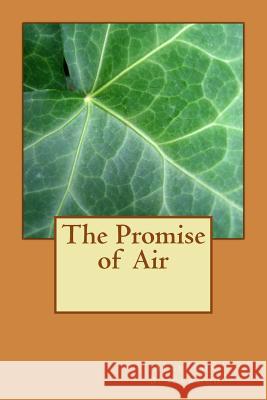 The Promise of Air Algernon Blackwood 9781983602764 Createspace Independent Publishing Platform