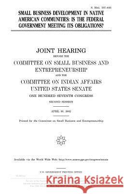 Small business development in Native American communities: is the federal government meeting its obligations? Senate, United States 9781983620522 Createspace Independent Publishing Platform