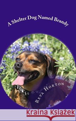 A Shelter Dog Named Brandy Reva Coker Horton 9781983666797 Createspace Independent Publishing Platform