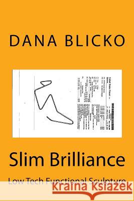 Slim Brilliance: Low Tech Functional Sculpture Dana Blicko 9781983900037 Createspace Independent Publishing Platform