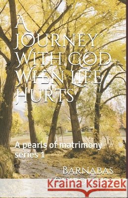A Journey With God When Life Hurts: Pearls of Matrimony Chiboboka, Barnabas 9781983902932 Createspace Independent Publishing Platform