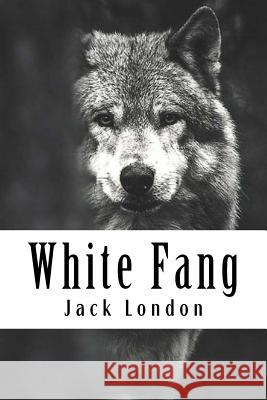 White Fang Jack London 9781984063168