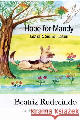 Hope for Mandy Beatriz Rudecindo 9781984202680 Createspace Independent Publishing Platform