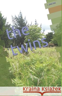 The twins R. Pasinski 9781984287359 Createspace Independent Publishing Platform