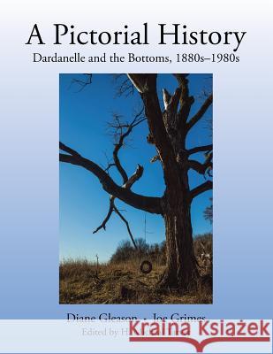 A Pictorial History: Dardanelle and the Bottoms, 1880S-1980S Diane Gleason, Joe Grimes 9781984518934 Xlibris Us