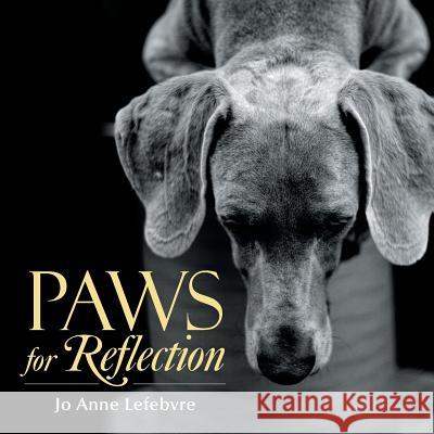 Paws for Reflection Jo Anne Lefebvre 9781984539373