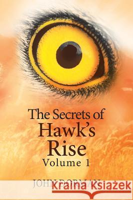 The Secrets of Hawk'S Rise John Dorman 9781984543721