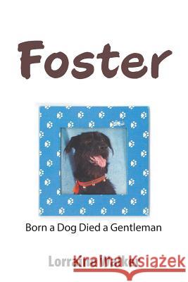 Foster: Born a Dog Died a Gentleman Lorraine Walker 9781984556950