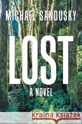 Lost Michael Sandusky 9781984572011 Xlibris Us