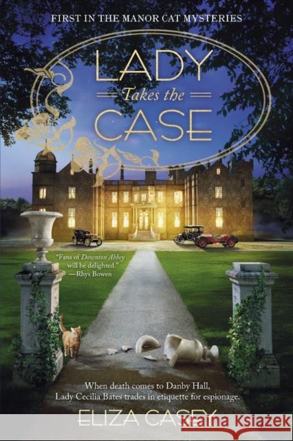 Lady Takes The Case Eliza Casey 9781984803887