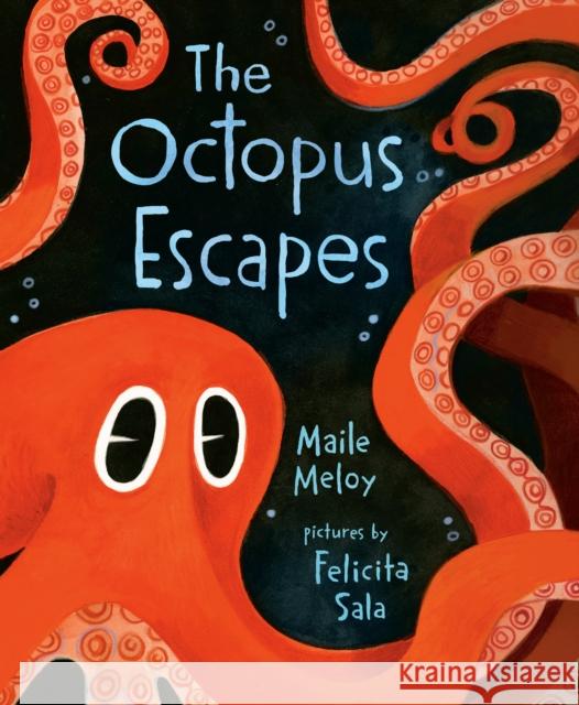 The Octopus Escapes Maile Meloy Felicita Sala 9781984812698 G.P. Putnam's Sons Books for Young Readers