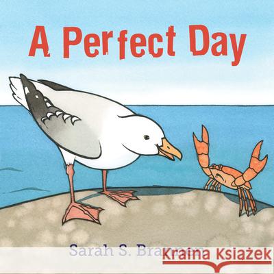 A Perfect Day Sarah S. Brannen Sarah S. Brannen 9781984812841 Philomel Books