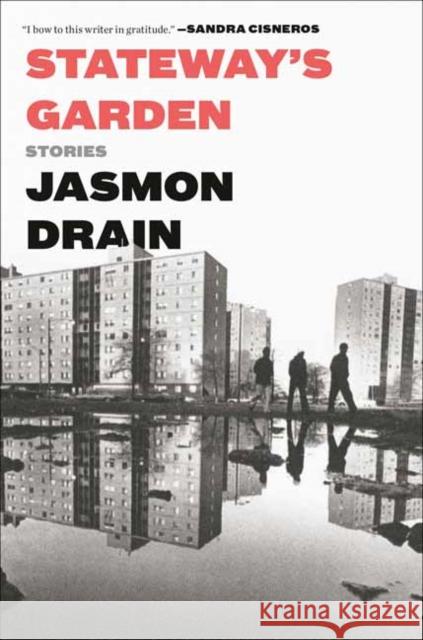 Stateway's Garden: Stories Jasmon Drain 9781984818188