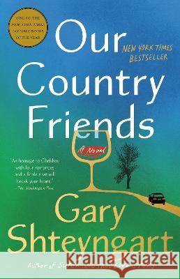 Our Country Friends Shteyngart, Gary 9781984855145 Random House Trade Paperbacks