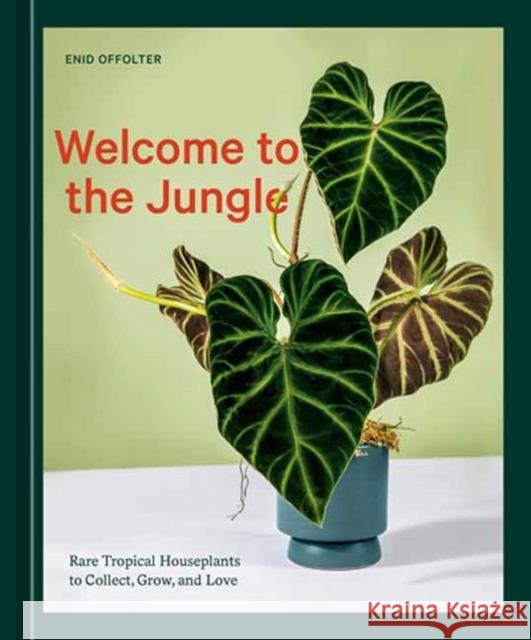 Welcome to the Jungle: Rare Tropical Houseplants to Collect, Grow, and Love Enid Offolter 9781984859945 Ten Speed Press