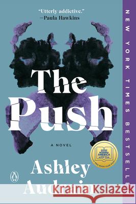 The Push: A GMA Book Club Pick: A Novel Ashley Audrain 9781984881687