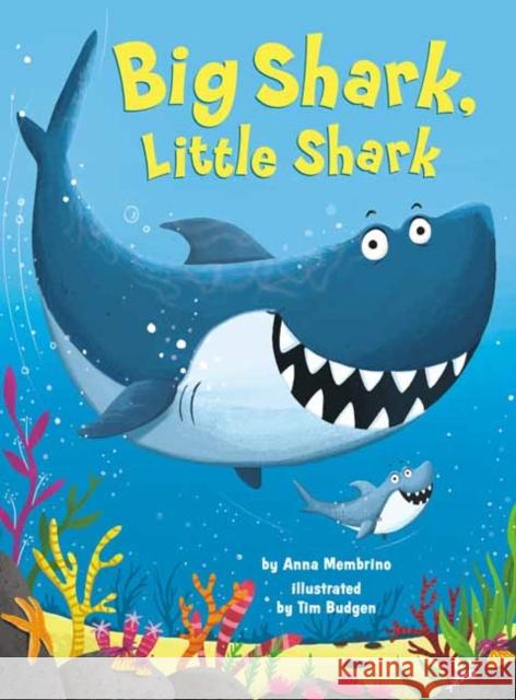 Big Shark, Little Shark Anna Membrino Tim Budgen 9781984895141