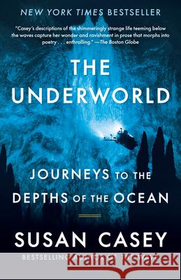 The Underworld: Journeys to the Depths of the Ocean Susan Casey 9781984898869 Vintage