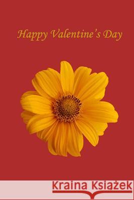 Happy Valentine's Day Jane Smith 9781984927491