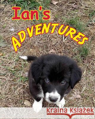 Ian's Adventures Saskia Sowers 9781985078574