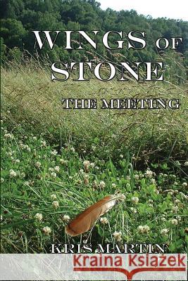 Wings of Stone - The Meetings Kris Martin 9781985098619 Createspace Independent Publishing Platform