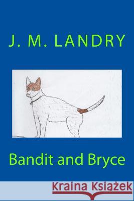 Bandit and Bryce J. M. Landry 9781985348295 Createspace Independent Publishing Platform