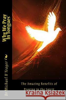 Why We Pray In Tongues: The Amazing Benefits of Praying in the Spirit Yeager, Michael H. 9781985851955 Createspace Independent Publishing Platform