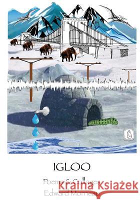 Igloo MR Edward Morneau 9781985878198