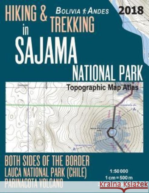 Hiking & Trekking in Sajama National Park Bolivia Andes Topographic Map Atlas Both Sides of the Border Lauca National Park (Chile) Parinacota Volcano 1: 50000: Trails, Hikes & Walks Topographic Map Sergio Mazitto 9781986043991 Createspace Independent Publishing Platform